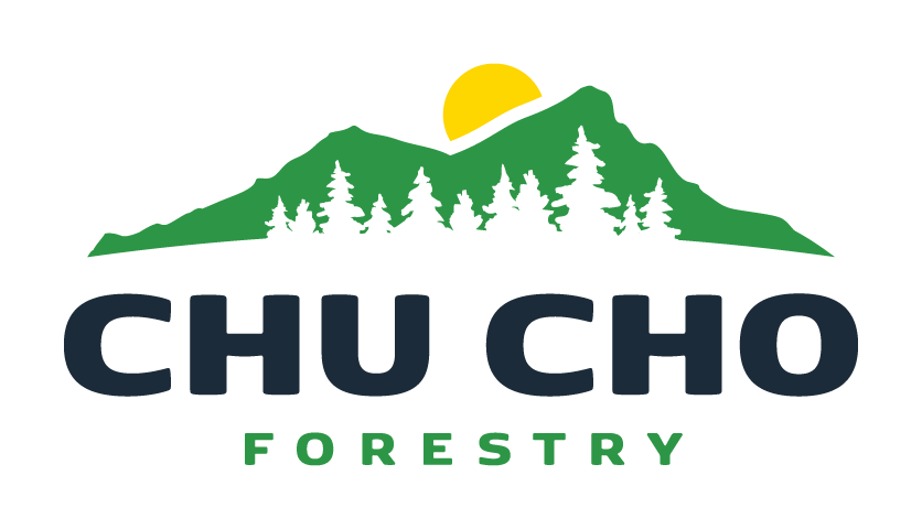 Chu Cho Forestry LLP